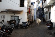 Calles Udaipur