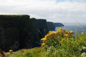 Acantilados de Moher