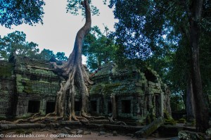 Templo Ta Prohm