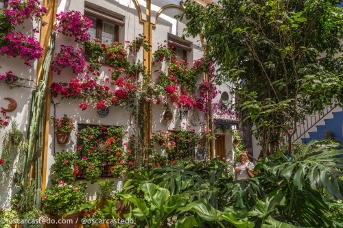 Patio calle Chaparro 3