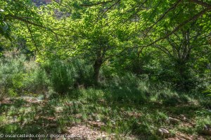 Luces y sombras por los senderos