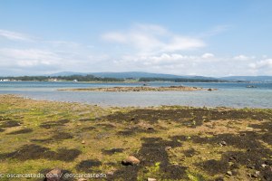 Vistas desde O Grove