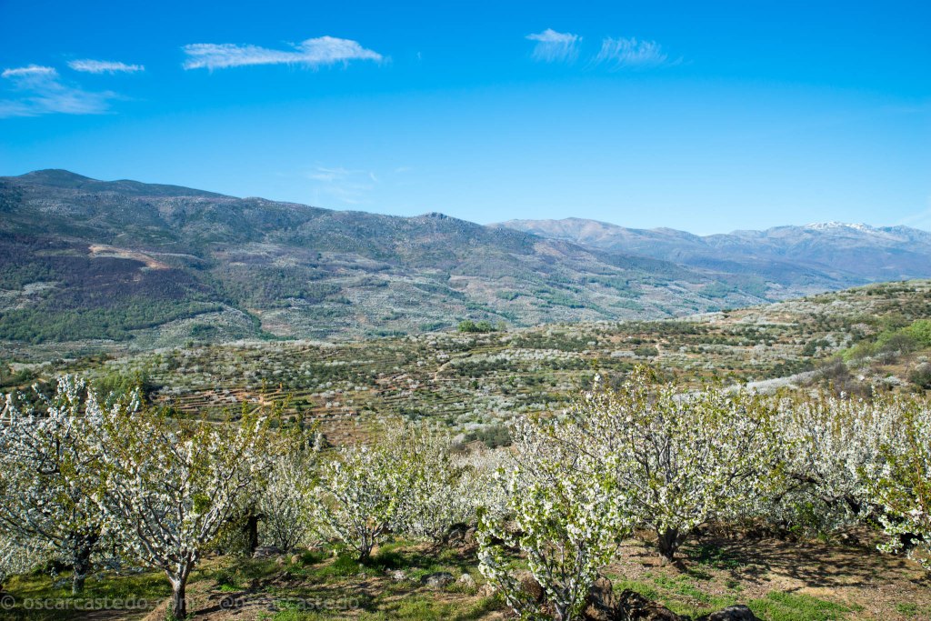 Comarca de la Vera y Valle del Jerte. Roadtrip en moto entre&nbsp;cerezos.
